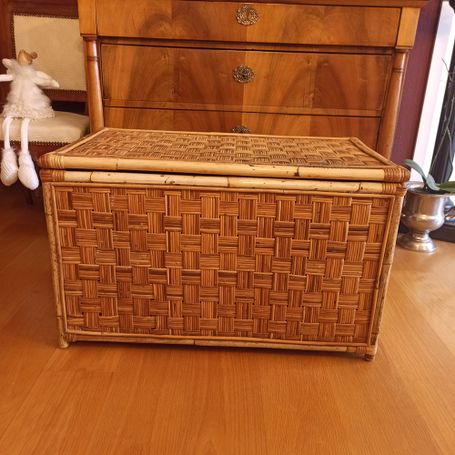 Vintage Rattantruhe