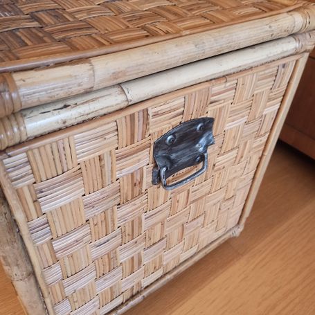 Vintage Rattantruhe
